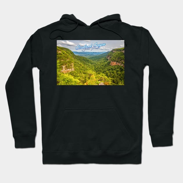 Cloudland Canyon State Park Hoodie by Gestalt Imagery